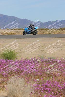 media/Mar-12-2023-SoCal Trackdays (Sun) [[d4c8249724]]/Turn 15 Inside Bloom (130pm)/